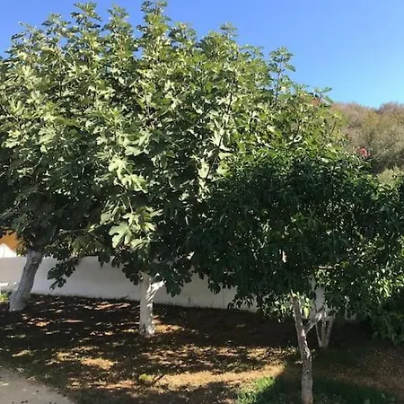 Porto Koufo Villa